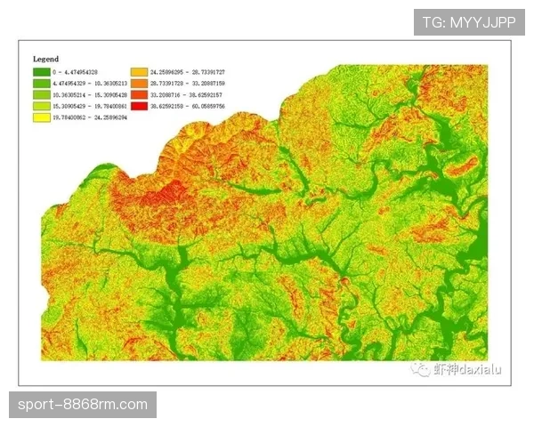 维蒂尼亚与巴雷拉中场活动范围及覆盖能力对比分析