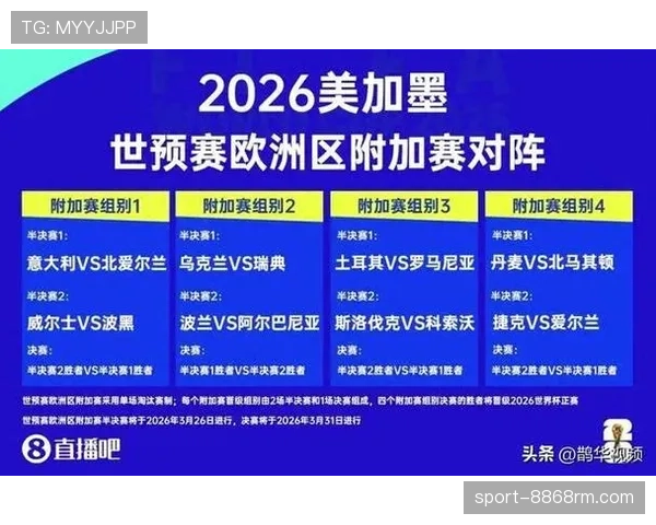 波黑队能否重返2026世界杯?晋级前景与阵容分析 波黑队能否重返2026世界杯?晋级前景与阵容分析